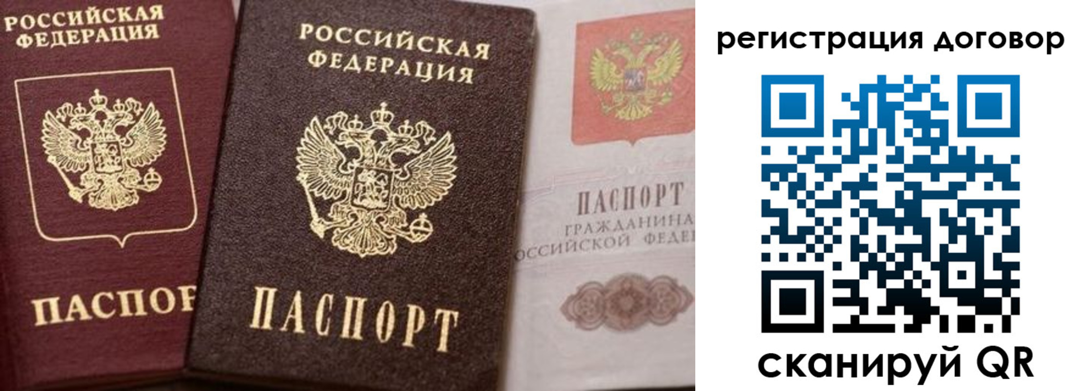 прописка 2025 в Талдоме